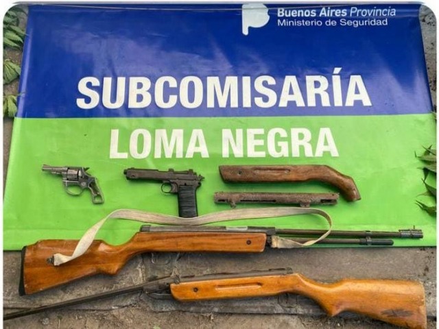 Armas y plantas de marihuana secuestradas en un allanamiento